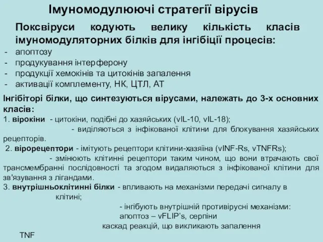 Імуномодулюючі стратегії вірусів Поксвіруси кодують велику кількість класів імуномодуляторних білків для інгібіції