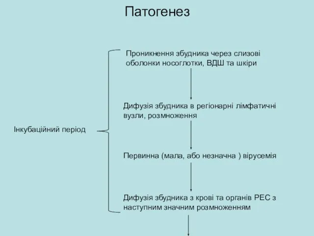 Патогенез Інкубаційний період Проникнення збудника через слизові оболонки носоглотки, ВДШ та шкіри