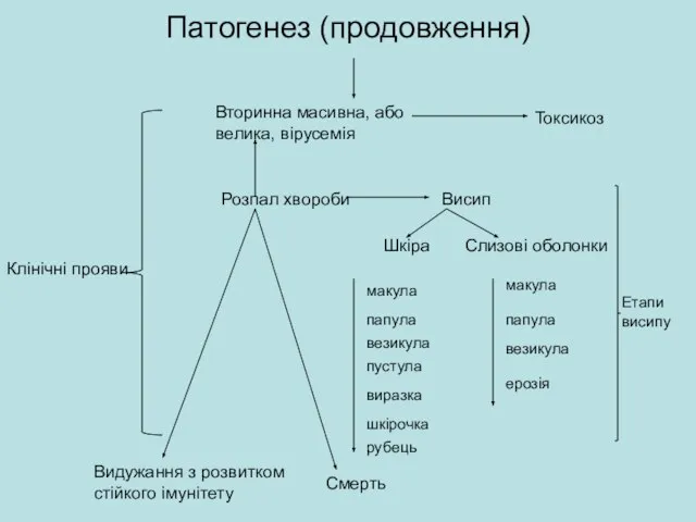 Патогенез (продовження) Клінічні прояви Вторинна масивна, або велика, вірусемія Токсикоз Розпал хвороби