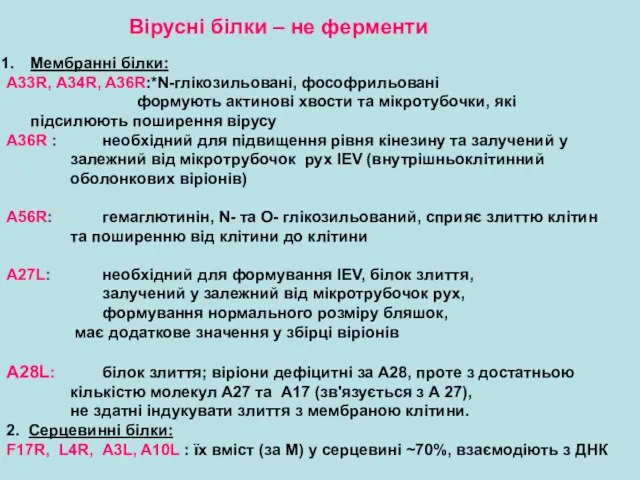 Вірусні білки – не ферменти Мембранні білки: A33R, A34R, A36R:*N-глікозильовані, фософрильовані формують