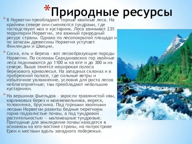 Природные ресурсы В Норвегии преобладают горные хвойные леса. На крайнем севере они