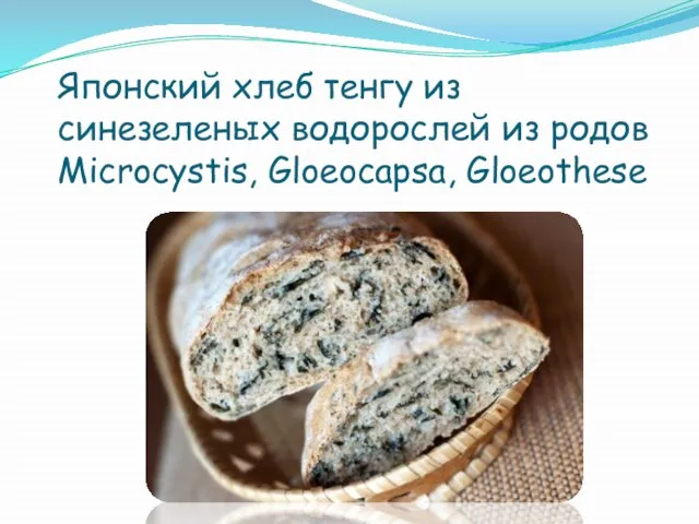 Японский хлеб тенгу из синезеленых водорослей из родов Microcystis, Gloeocapsa, Gloeothese