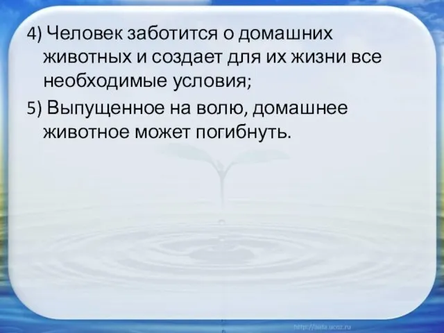 4) Человек заботится о домашних животных и создает для их жизни все