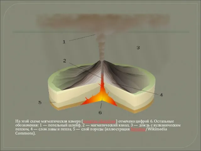 На этой схеме магматическая камера (magma chamber) отмечена цифрой 6. Остальные обозначения: