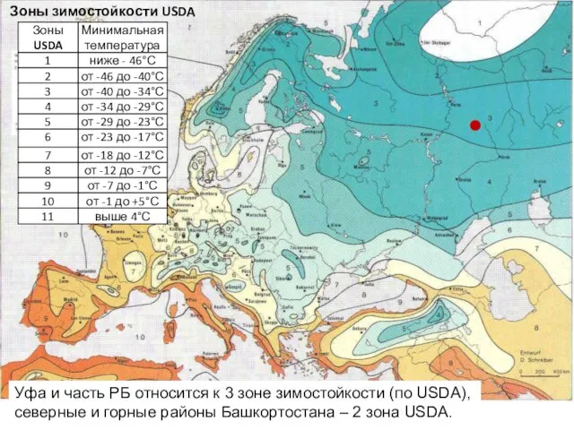 Уфа и часть РБ относится к 3 зоне зимостойкости (по USDA), северные