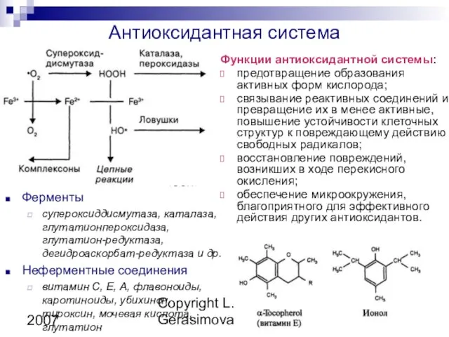 Copyright L. Gerasimova 2007 Антиоксидантная система Функции антиоксидантной системы: предотвращение образования активных