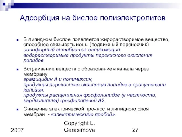 Copyright L. Gerasimova 2007 Адсорбция на бислое полиэлектролитов В липидном бислое появляется