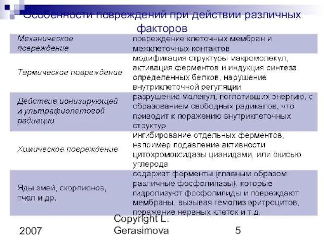 Copyright L. Gerasimova 2007 Особенности повреждений при действии различных факторов