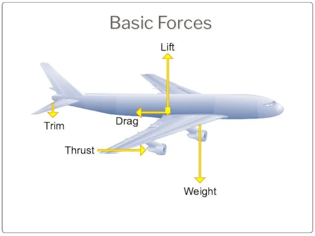 Basic Forces Lift Drag Trim Thrust Weight