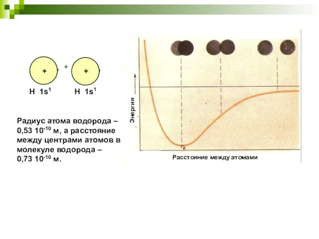 Радиус атома водорода – 0,53 10-10 м, а расстояние между центрами атомов
