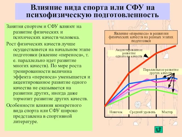 Влияние вида спорта или СФУ на психофизическую подготовленность Занятия спортом и СФУ