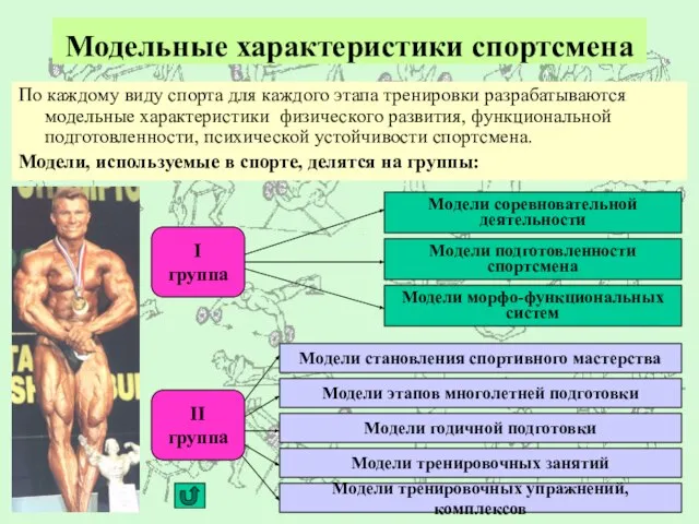 Модельные характеристики спортсмена По каждому виду спорта для каждого этапа тренировки разрабатываются