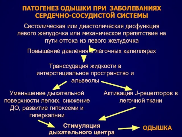 ПАТОГЕНЕЗ ОДЫШКИ ПРИ ЗАБОЛЕВАНИЯХ СЕРДЕЧНО-СОСУДИСТОЙ СИСТЕМЫ Систолическая или диастолическая дисфункция левого желудочка