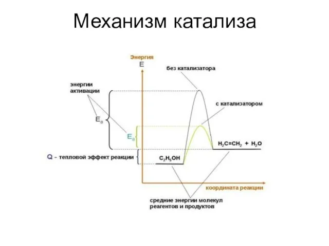 Механизм катализа