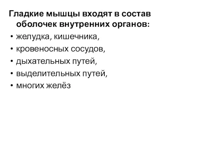 Гладкие мышцы входят в состав оболочек внутренних органов: желудка, кишечника, кровеносных сосудов,