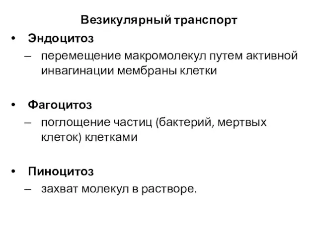 Везикулярный транспорт Эндоцитоз перемещение макромолекул путем активной инвагинации мембраны клетки Фагоцитоз поглощение