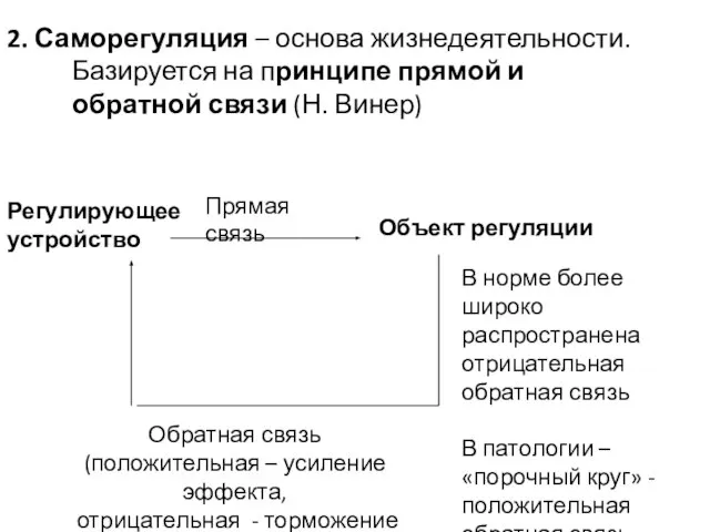 2. Саморегуляция – основа жизнедеятельности. Базируется на принципе прямой и обратной связи