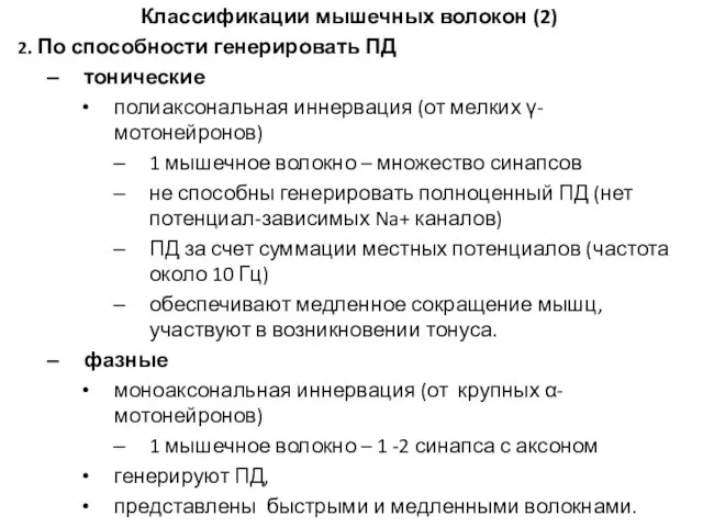 Классификации мышечных волокон (2) 2. По способности генерировать ПД тонические полиаксональная иннервация