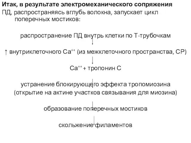 Итак, в результате электромеханического сопряжения ПД, распространяясь вглубь волокна, запускает цикл поперечных