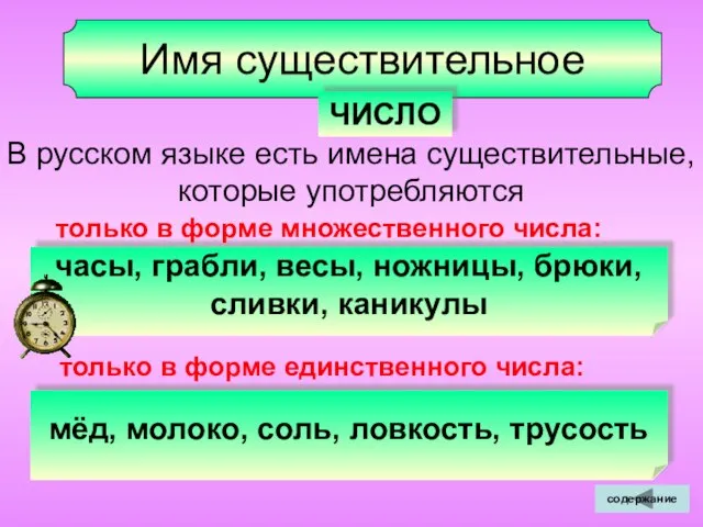 Имя существительное ЧИСЛО В русском языке есть имена существительные, которые употребляются часы,