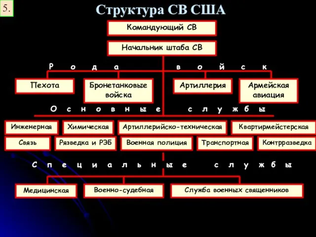 Структура СВ США 5. Командующий СВ Начальник штаба СВ Р о д