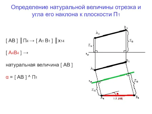 Определение натуральной величины отрезка и угла его наклона к плоскости П1 [