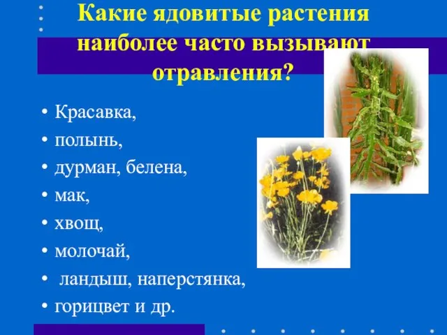 Какие ядовитые растения наиболее часто вызывают отравления? Красавка, полынь, дурман, белена, мак,