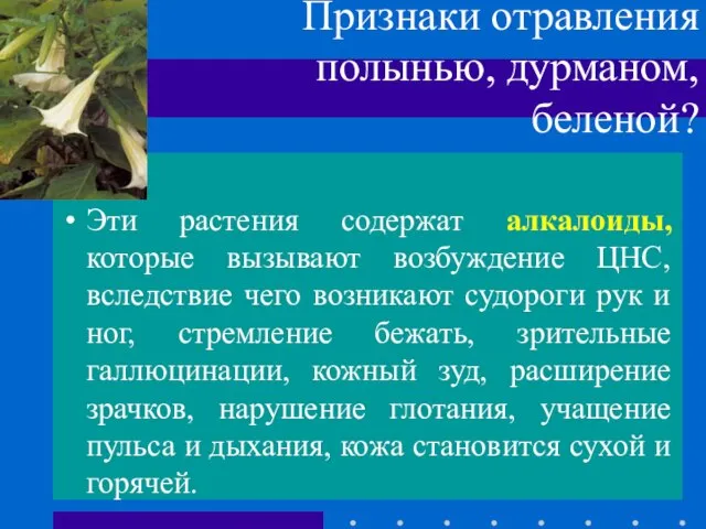 Признаки отравления полынью, дурманом, беленой? Эти растения содержат алкалоиды, которые вызывают возбуждение