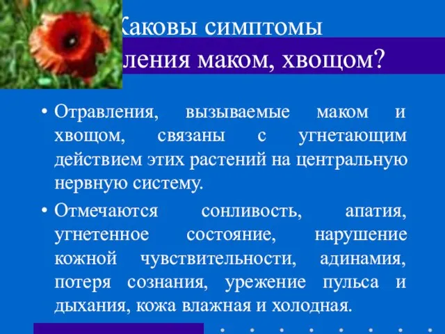 Каковы симптомы отравления маком, хвощом? Отравления, вызываемые маком и хвощом, связаны с