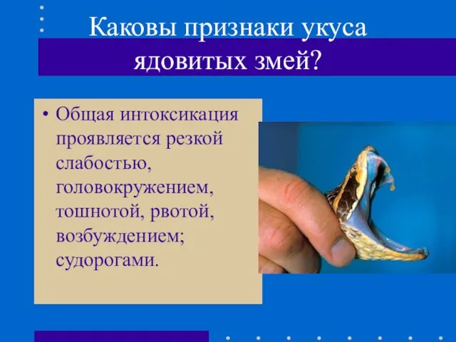 Каковы признаки укуса ядовитых змей? Общая интоксикация проявляется резкой слабостью, головокружением, тошнотой, рвотой, возбуждением; судорогами.