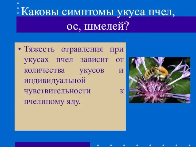 Каковы симптомы укуса пчел, ос, шмелей? Тяжесть отравления при укусах пчел зависит