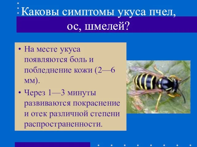 Каковы симптомы укуса пчел, ос, шмелей? На месте укуса появляются боль и