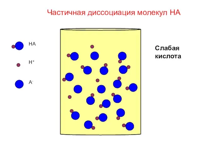 HA H+ A- Слабая кислота Частичная диссоциация молекул HA