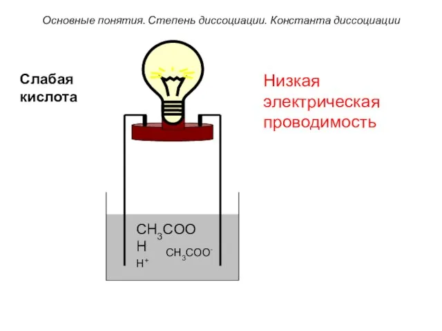 CH3COOH CH3COO- H+ Низкая электрическая проводимость Основные понятия. Степень диссоциации. Константа диссоциации Слабая кислота