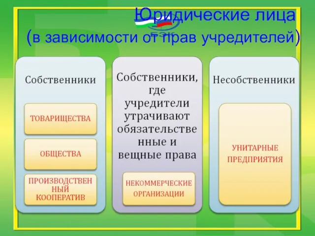 Юридические лица (в зависимости от прав учредителей)