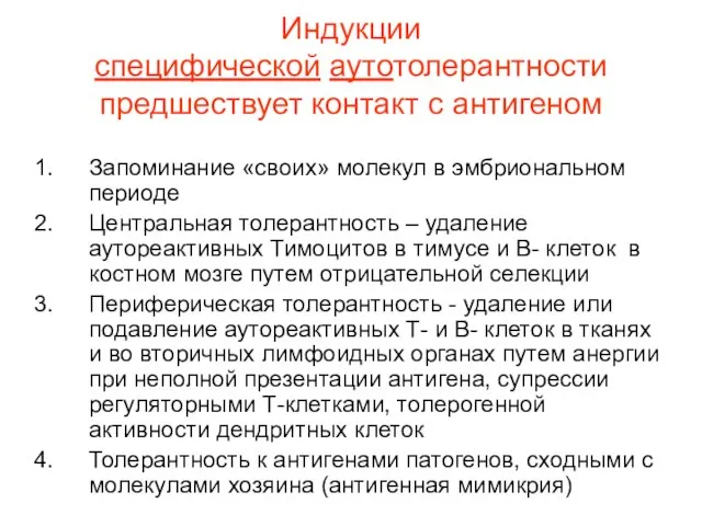 Индукции специфической аутотолерантности предшествует контакт с антигеном Запоминание «своих» молекул в эмбриональном