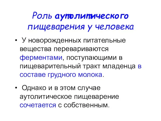 Роль аутолитического пищеварения у человека У новорожденных питательные вещества перевариваются ферментами, поступающими