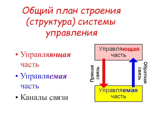 Общий план строения (структура) системы управления Управляющая часть Управляемая часть Каналы связи