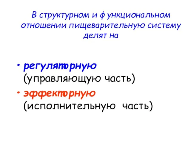 В структурном и функциональном отношении пищеварительную систему делят на регуляторную (управляющую часть) эффекторную (исполнительную часть)