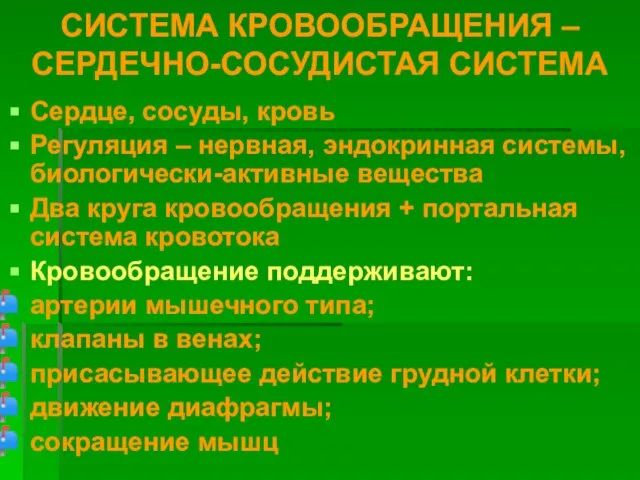 СИСТЕМА КРОВООБРАЩЕНИЯ – СЕРДЕЧНО-СОСУДИСТАЯ СИСТЕМА Сердце, сосуды, кровь Регуляция – нервная, эндокринная