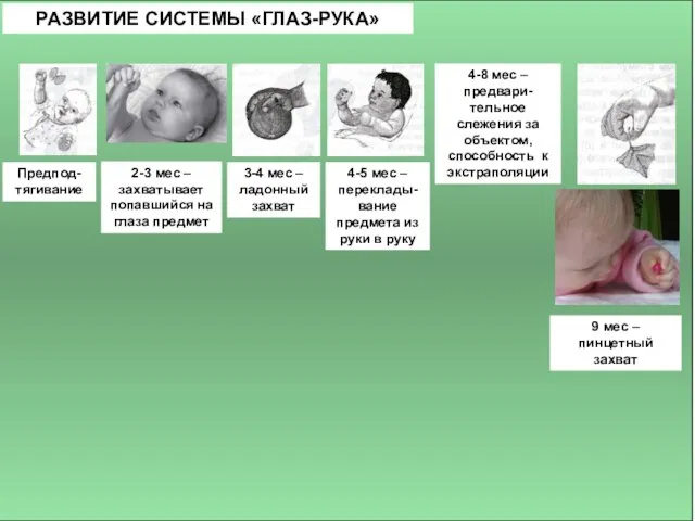 РАЗВИТИЕ СИСТЕМЫ «ГЛАЗ-РУКА» Предпод-тягивание 2-3 мес – захватывает попавшийся на глаза предмет