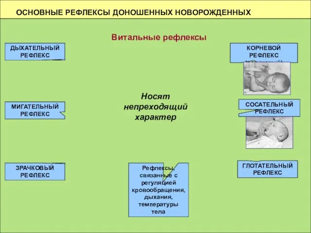 ОСНОВНЫЕ РЕФЛЕКСЫ ДОНОШЕННЫХ НОВОРОЖДЕННЫХ Витальные рефлексы ДЫХАТЕЛЬНЫЙ РЕФЛЕКС МИГАТЕЛЬНЫЙ РЕФЛЕКС СОСАТЕЛЬНЫЙ РЕФЛЕКС