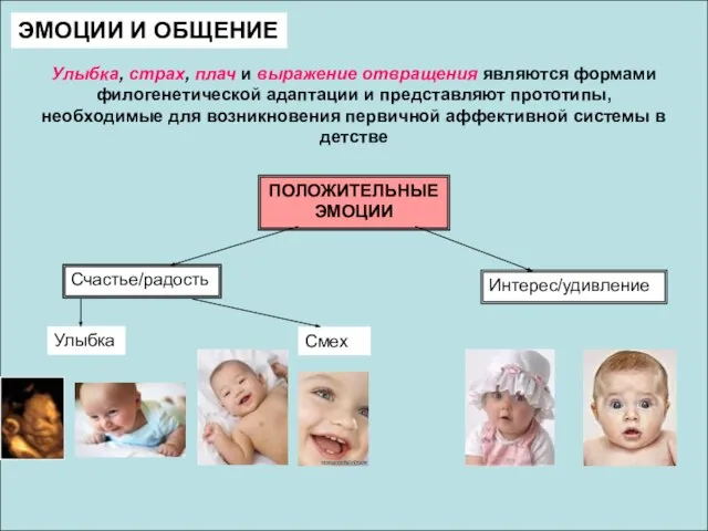 ЭМОЦИИ И ОБЩЕНИЕ Улыбка, страх, плач и выражение отвращения являются формами филогенетической