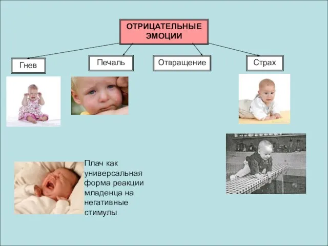 ОТРИЦАТЕЛЬНЫЕЭМОЦИИ Гнев Печаль Отвращение Страх Плач как универсальная форма реакции младенца на негативные стимулы