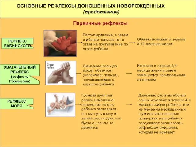 ОСНОВНЫЕ РЕФЛЕКСЫ ДОНОШЕННЫХ НОВОРОЖДЕННЫХ (продолжение) Первичные рефлексы РЕФЛЕКС БАБИНСКОГО Растопыривание, а затем