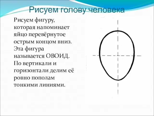 Рисуем голову человека Рисуем фигуру, которая напоминает яйцо перевёрнутое острым концом вниз.