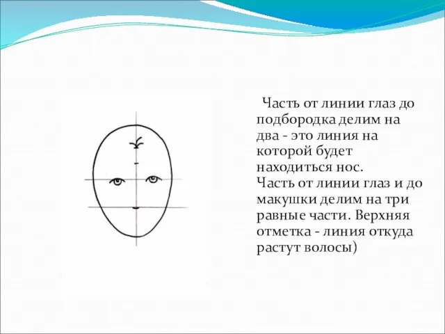 Часть от линии глаз до подбородка делим на два - это линия