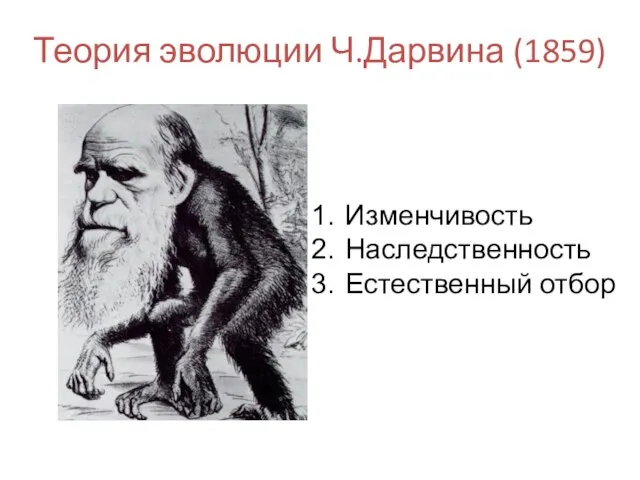 Теория эволюции Ч.Дарвина (1859) Изменчивость Наследственность Естественный отбор