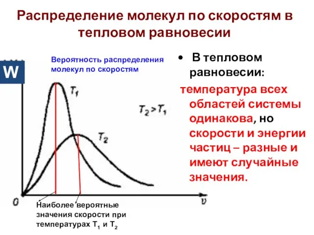 Распределение молекул по скоростям в тепловом равновесии Вероятность распределения молекул по скоростям