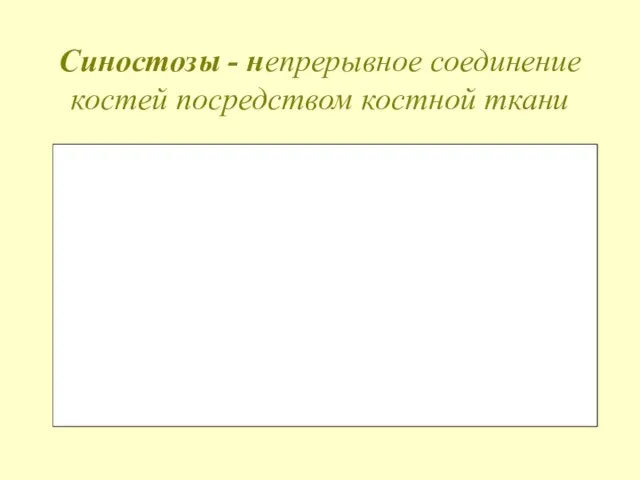 Синостозы - непрерывное соединение костей посредством костной ткани